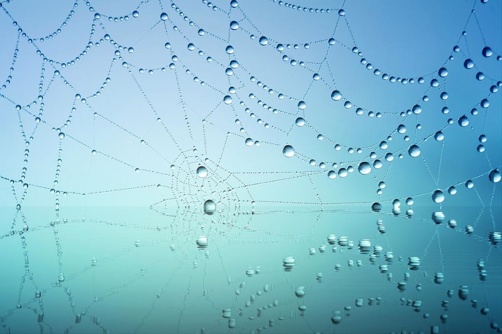 Illustration showing hands holding interconnected glowing network nodes